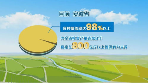 種業(yè)全鏈條創(chuàng)新，科技服務(wù)護(hù)航“江淮糧倉”建設(shè)
