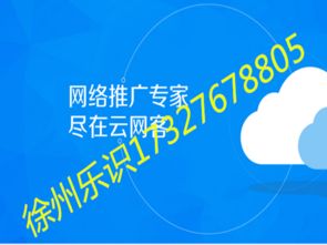 徐州網(wǎng)絡推廣新選擇 云網(wǎng)客效果解析與樂識公司技術服務評估