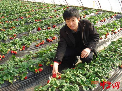 28載農(nóng)技推廣路 堅守一線，播撒科技興農(nóng)的種子