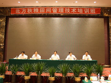 技術推廣服務中心 連接創(chuàng)新與應用的橋梁
