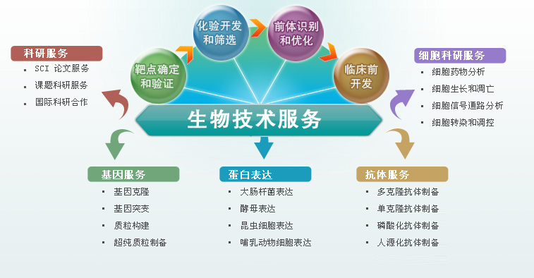 技術研發服務與技術推廣服務的相互賦能之道